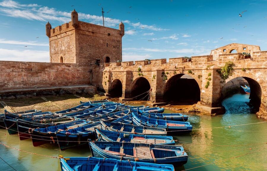 From Agadir or Taghazout: Essaouira Day Trip with Transfer - Bab El Marse and the cannons above the sea
