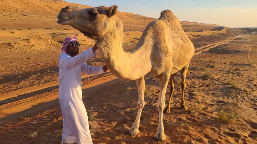 From Agadir: Sahara Desert Day Trip and Camel Ride - The Massa Valley and Berber village life