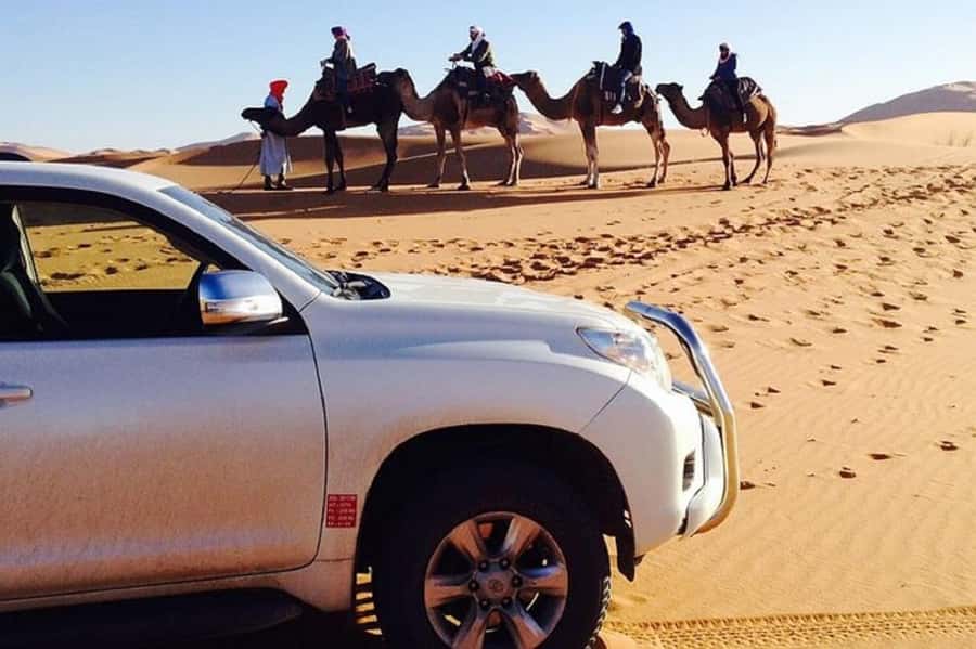 From Agadir: Souss-Massa National Park Tour with Lunch - The museum sets the scene