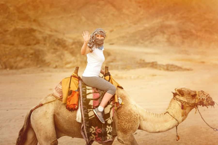 From Agadir: Souss River Camel Ride - What the Souss River route gives you