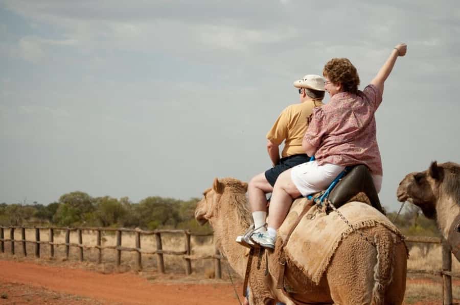 From Agadir: Souss River Camel Ride - Meeting the camels at the stables