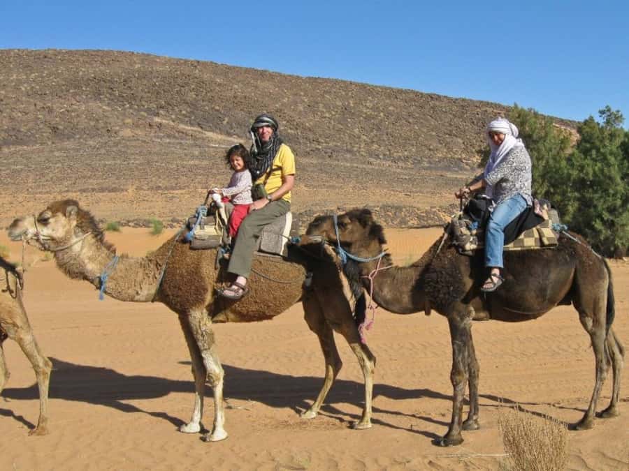 From Agadir: Souss River Camel Ride - The two-hour promise and the real timing