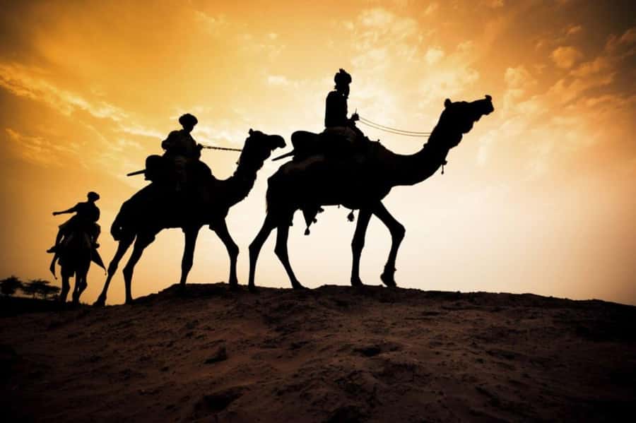 From Agadir: Souss River Camel Ride - Who will enjoy this Agadir camel ride?