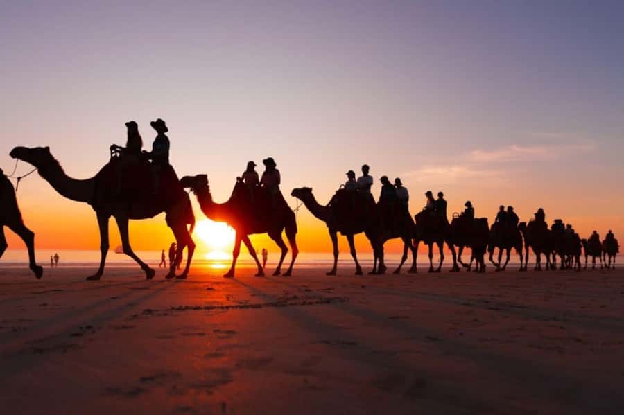 From Agadir: Souss River Camel Ride - Practical advice for a smoother outing