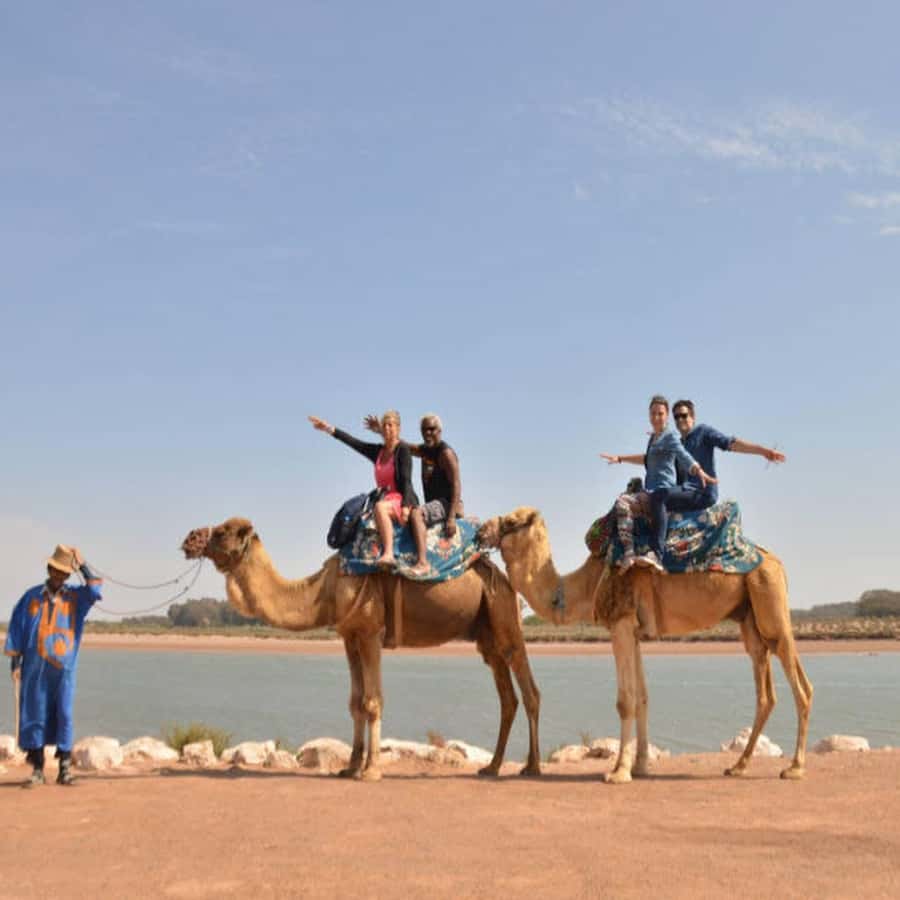 From Agadir: Souss River Camel Ride - Should you book the Souss River camel ride?