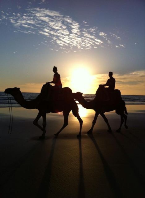 From Agadir/Taghazout: Buggy Safari Adventure & Moroccan Tea - Who will enjoy this most?