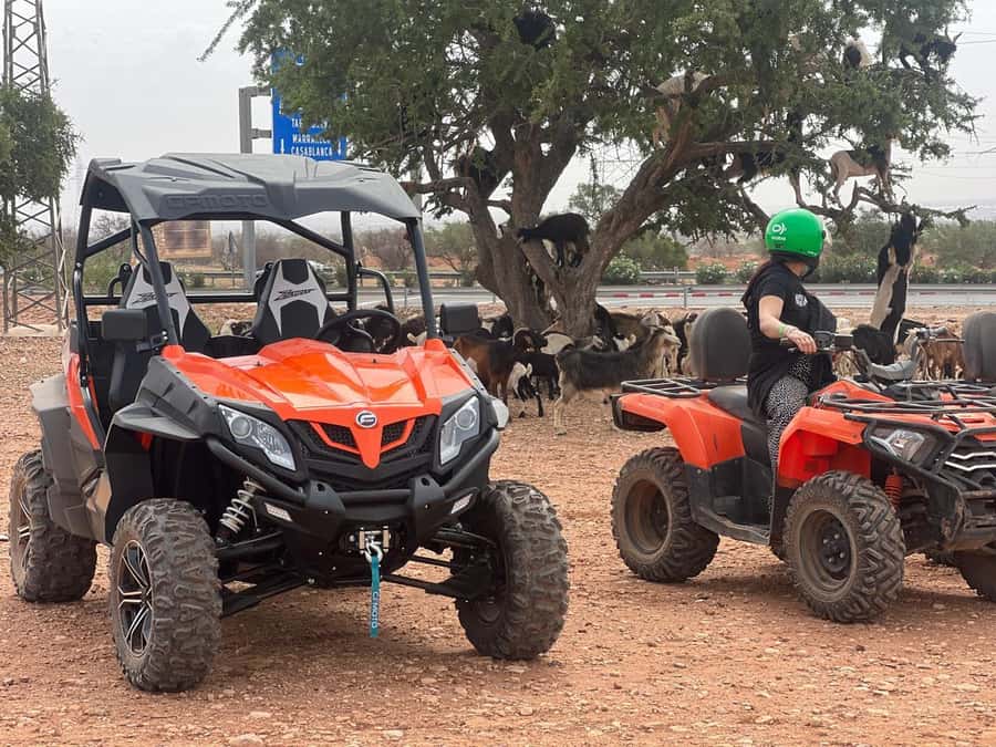 From Agadir/Taghazout: Buggy Safari Adventure & Moroccan Tea - What the two-hour route is really like