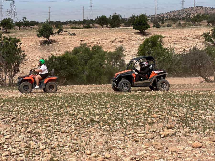 From Agadir/Taghazout: Buggy Safari Adventure & Moroccan Tea - Goats, argan trees, and the photo stop