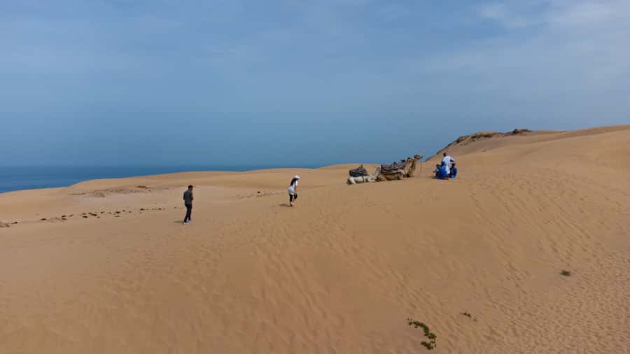 From Agadir/Taghazout: Sahara Sand Dunes with Transfer - Key points at a glance