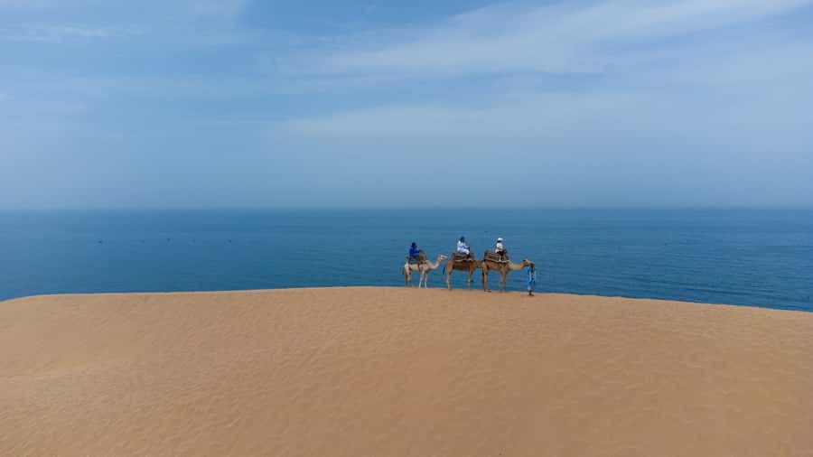 From Agadir/Taghazout: Sahara Sand Dunes with Transfer - Walking among the dunes