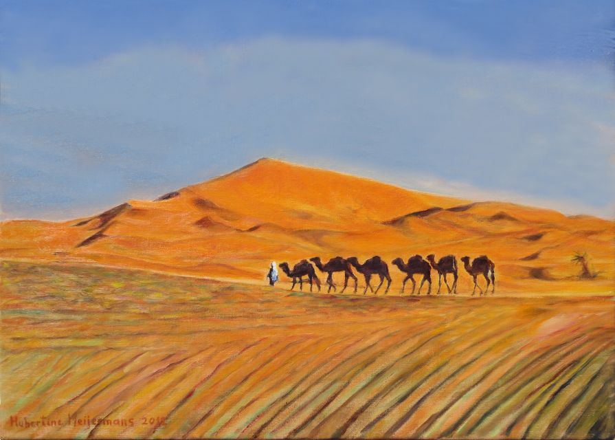 From Agadir/Taghazout: Sahara Sand Dunes with Transfer - What the $49 price really covers