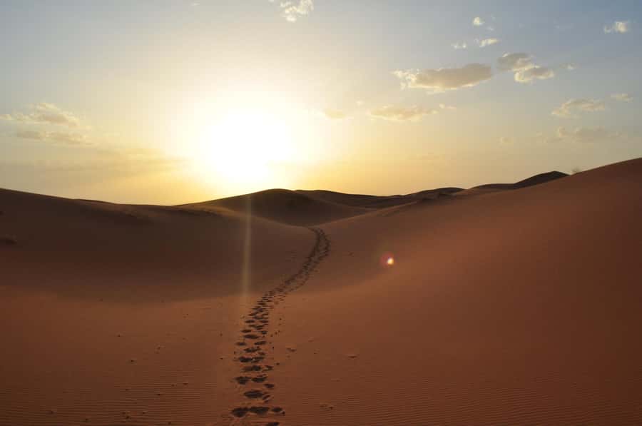 From Agadir/Taghazout: Sahara Sand Dunes with Transfer - Who will enjoy this half-day escape