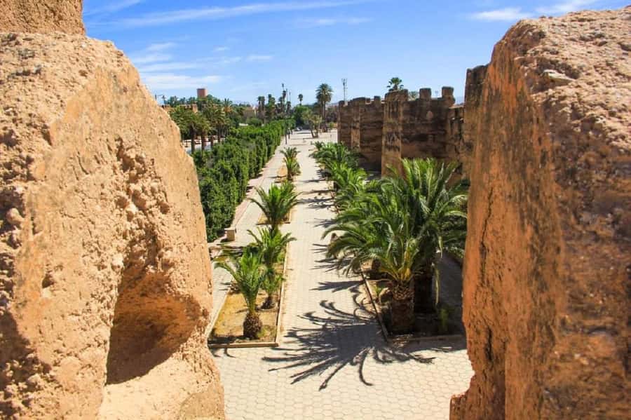 From Agadir: Taroudant and Tiout Day Tour with Lunch - The morning road from Agadir to the tree-climbing goats