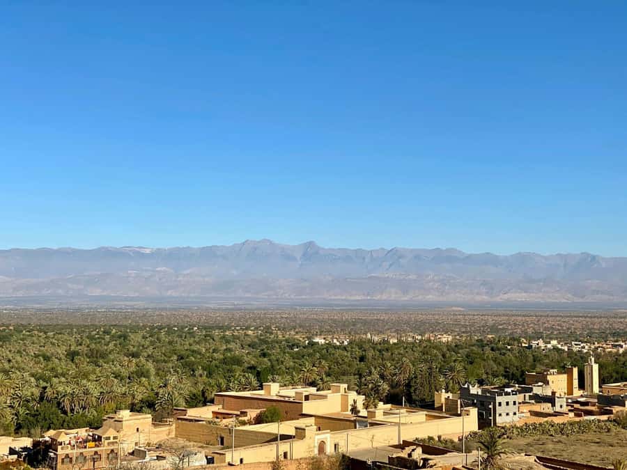 From Agadir: Taroudant and Tiout Day Tour with Lunch - The short transfer to Tiout