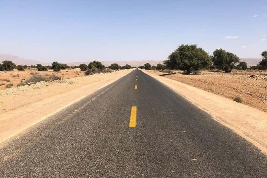 From Agadir: Taroudant and Tiout Day Tour with Lunch - Walking through Tiout’s palm oasis