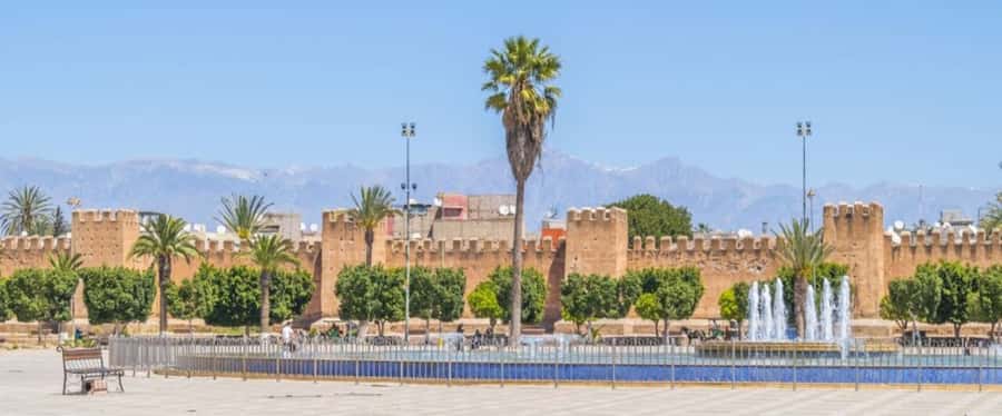 From Agadir: Taroudant & Tiout guided excursion - The roadside goat stop