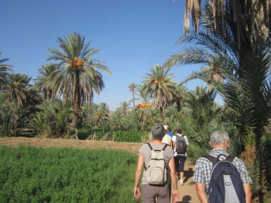 From Agadir: Taroudant & Tiout guided excursion - Lunch at the oasis