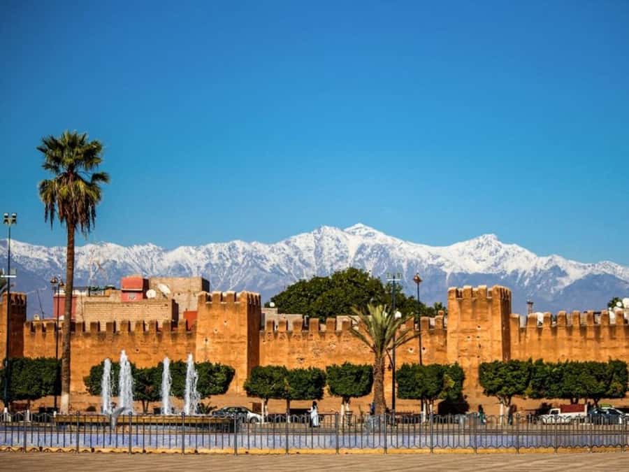 From Agadir: Taroudant & Tiout guided excursion - Transport, timing, and the group experience
