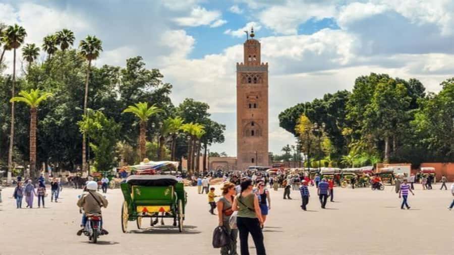 From Casablanca: Day Trip to Marrakech with Camel Ride - Gueliz and the return to Casablanca