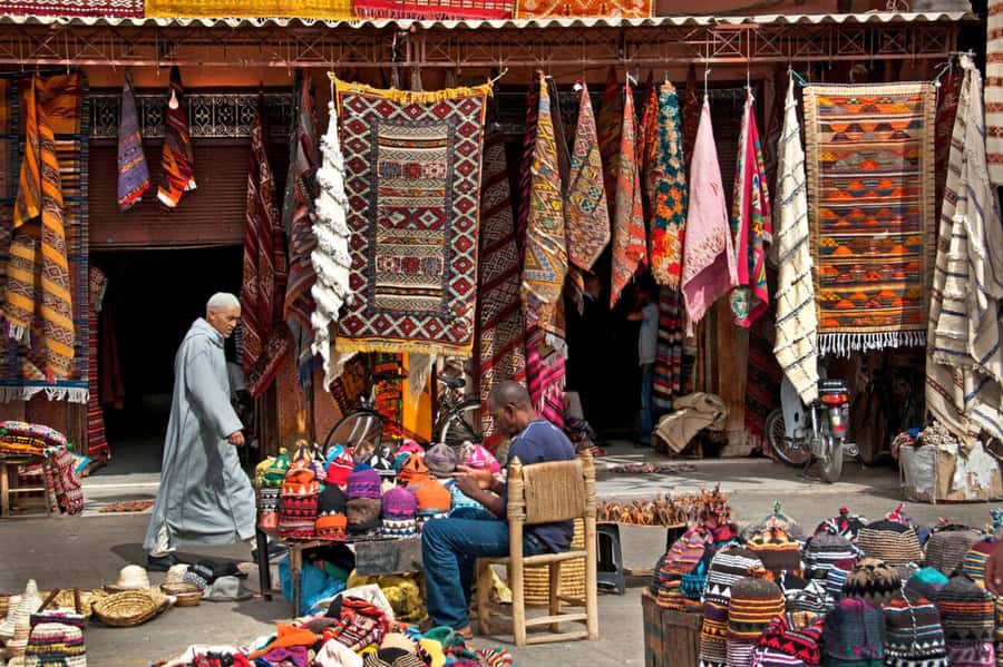 From Casablanca: Day Trip to Marrakech with Camel Ride - Mellah and Bahia Palace