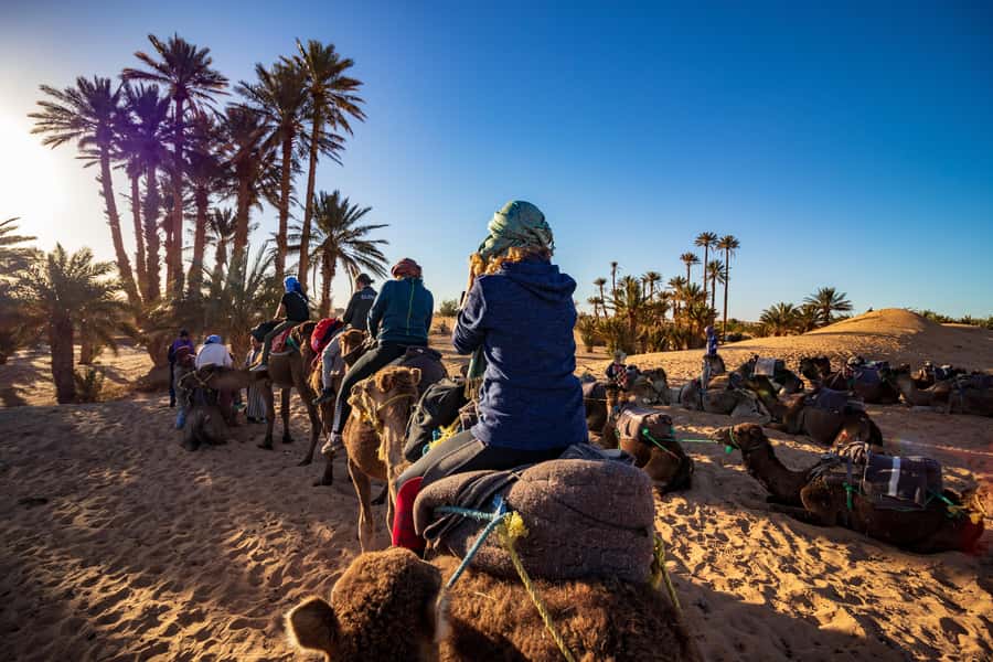 From Casablanca: Day Trip to Marrakech with Camel Ride - Souk Semmarine, lunch, and the final city walk