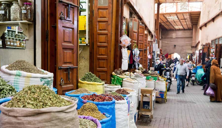 From Casablanca: Marrakech Guided Day Trip with Camel Ride - Menara Gardens and the Atlas Mountain view
