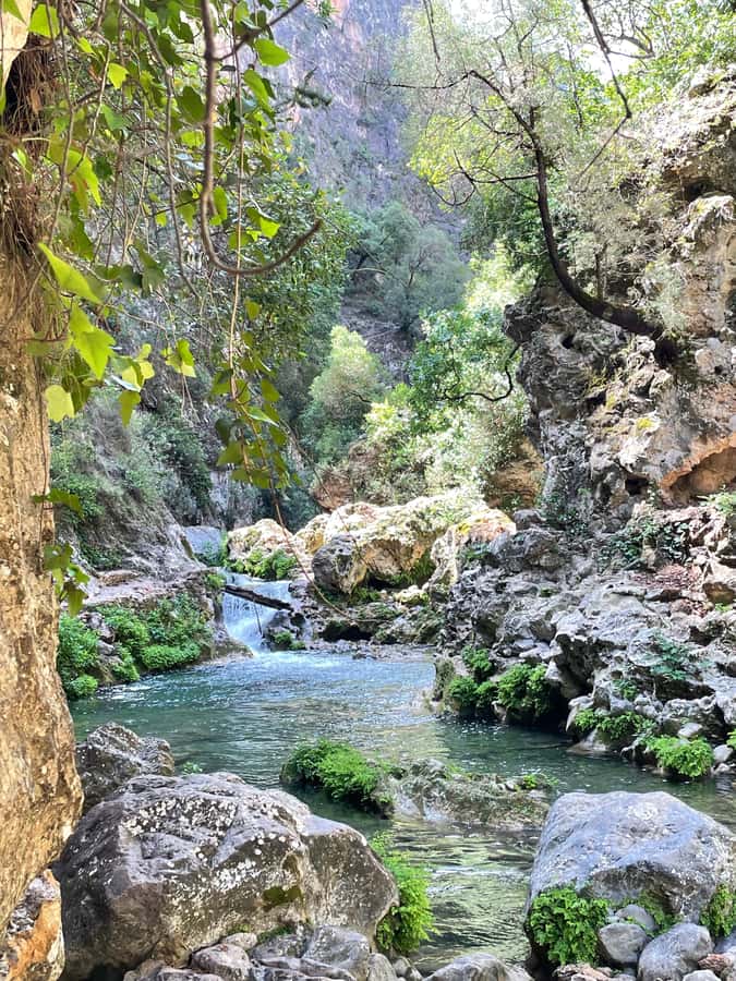 From Chefchaouen: Full-Day Trip to Akchour Waterfalls - Swimming in Akchour’s clear pools