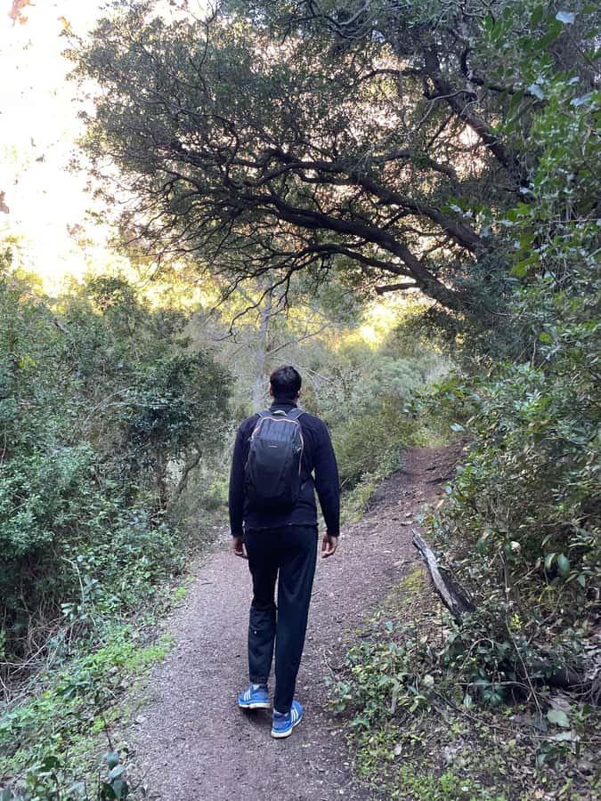 From Chefchaouen: Full-Day Trip to Akchour Waterfalls - God’s Bridge and what to clarify