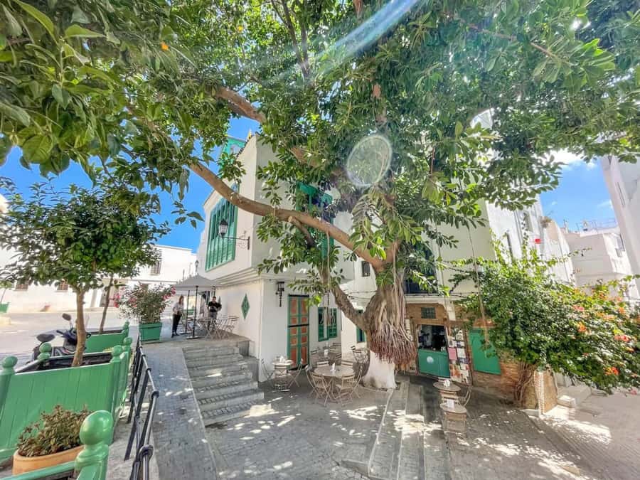 From Costa del Sol: Discover Tangier on a Guided Day Trip - A typical Moroccan lunch