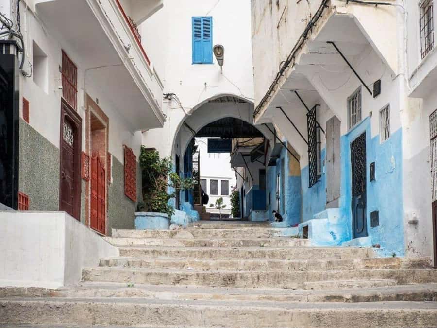 From Costa del Sol: Discover Tangier on a Guided Day Trip - What to bring and what to arrange first