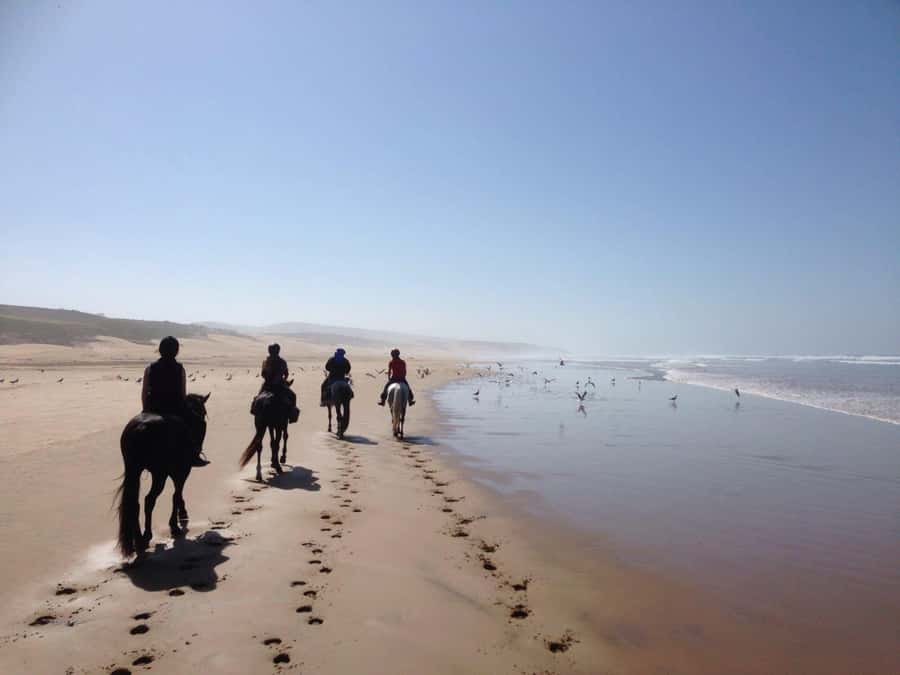 From Essaouira: 1-Hour Horse Ride - Key points at a glance