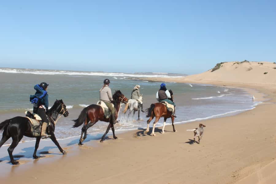 From Essaouira: 1-Hour Horse Ride - Across the river and past the old palace