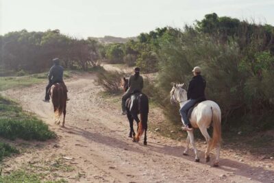 1-Hour Horse Ride