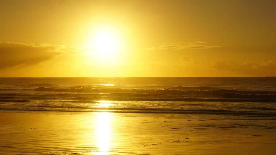 From Essaouira: 1-Hour Horse Ride with sunset - Why this one-hour ride is worth considering