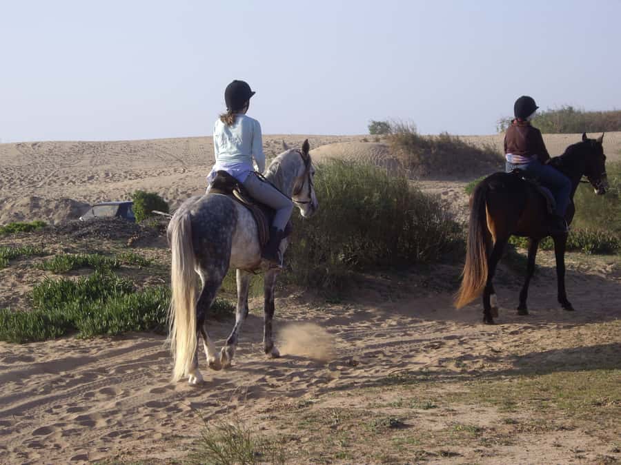 From Essaouira: 1-Hour Horse Ride with sunset - Moving from a slow walk to a beach gallop