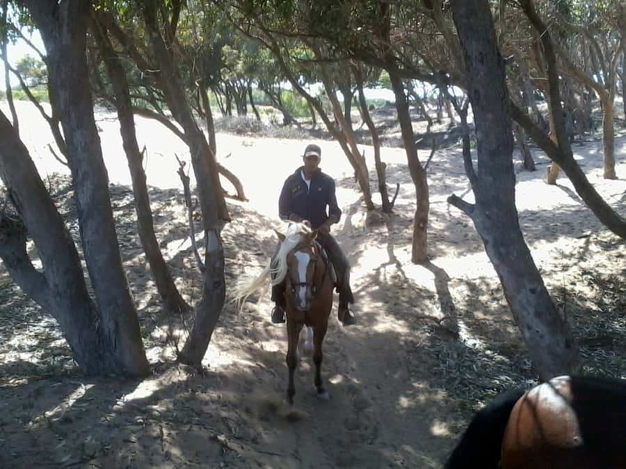From Essaouira: 1-Hour Horse Ride with sunset - The beach, Mogador Island, and the Atlantic horizon