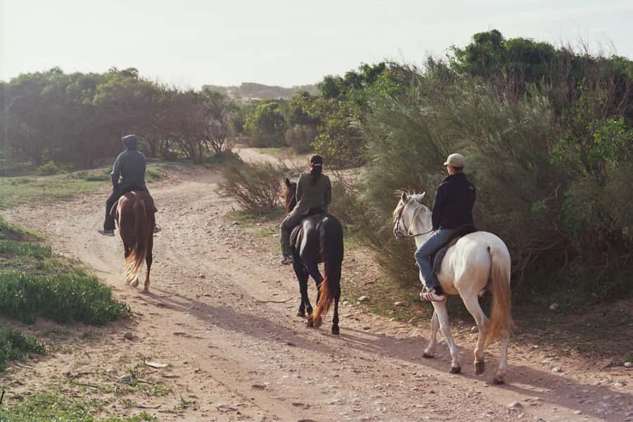 From Essaouira: 1-Hour Horse Ride with sunset - What the $56 price includes