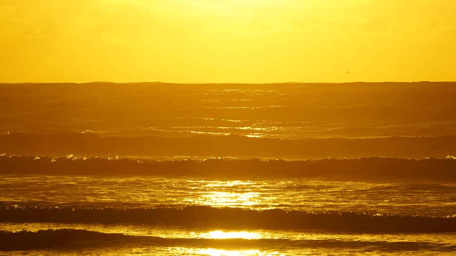 From Essaouira: 2h Horseback Ride with Sunset - Across the wide beach near Diabat