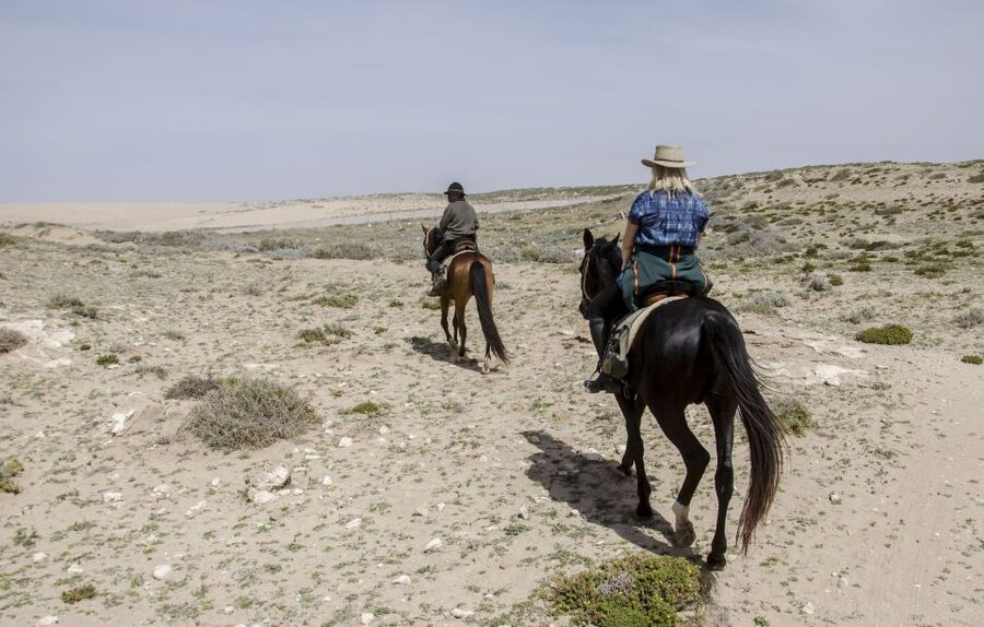 From Essaouira: 2h Horseback Ride with Sunset - Reaching the dunes beside the ocean