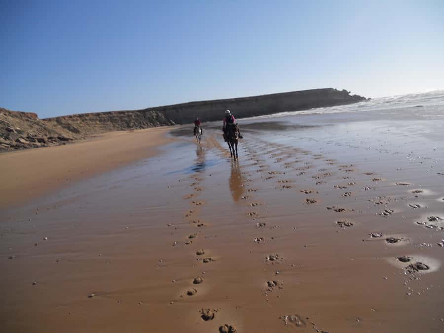 From Essaouira: 2h Horseback Ride with Sunset - Choosing your horse and getting a short lesson