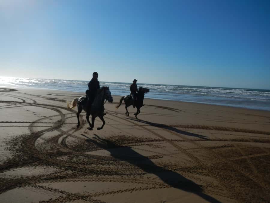 From Essaouira: Scenic Diabat Horseback Ride with Transfer - Why Diabat makes a fine riding setting