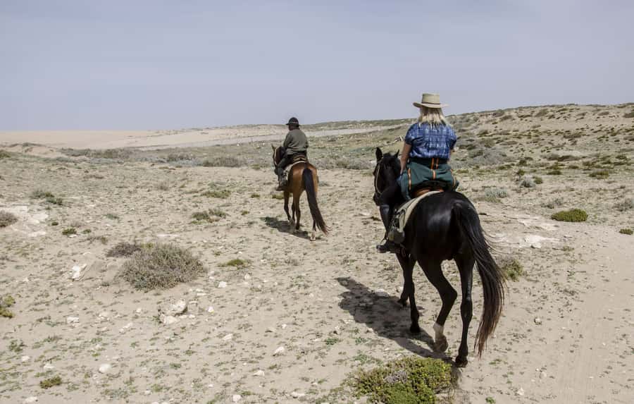 From Essaouira: Scenic Diabat Horseback Ride with Transfer - Meeting the Arabian-Berber horses
