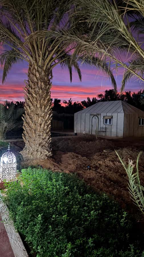 From Fes: 2-Day Desert Tour with Return to Fes or Marrakech - Ifrane and Azrou, Morocco’s cool mountain beginning
