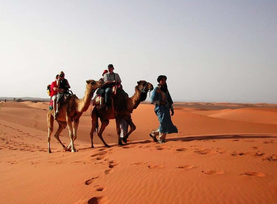 From Fes: 2-Day Luxury Desert Tour to Marrakech & Back Fez - Key points to know before booking