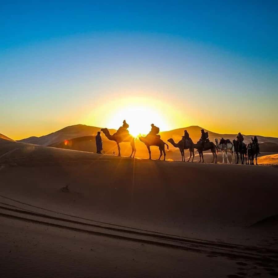 From Fes: 2-Day Luxury Desert Tour to Marrakech & Back Fez - The Ziz Valley and the approach to Merzouga