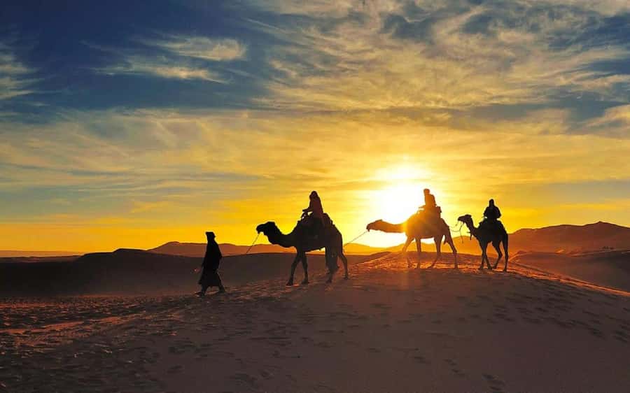 From Fes: 2-Day Luxury Desert Tour to Marrakech & Back Fez - Camel riding into Erg Chebbi at sunset
