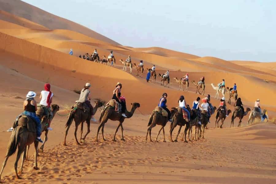 From Fes: 2-Day Luxury Desert Tour to Marrakech & Back Fez - What the luxury desert camp is really like