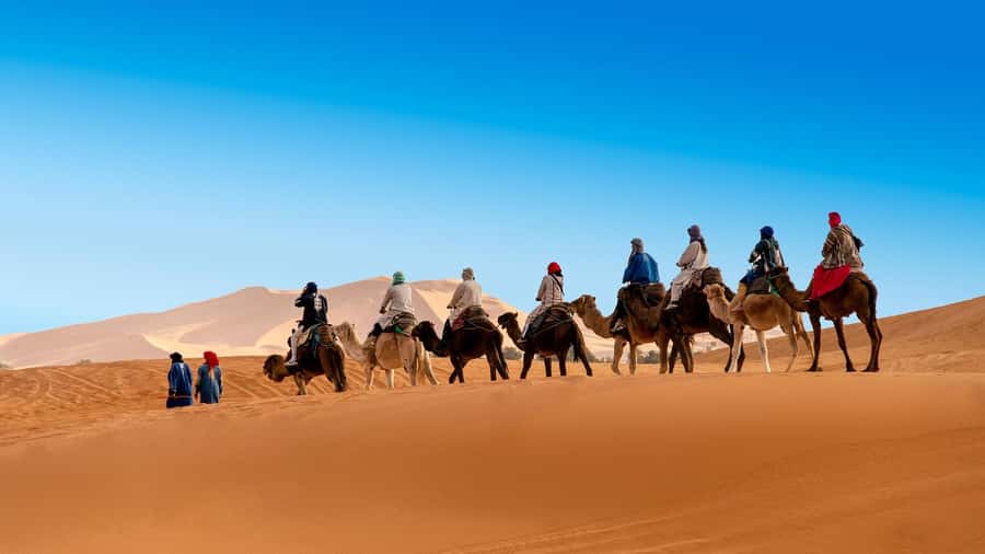 From Fes: 2-Day Luxury Desert Tour to Marrakech & Back Fez - Drivers, languages, and group style