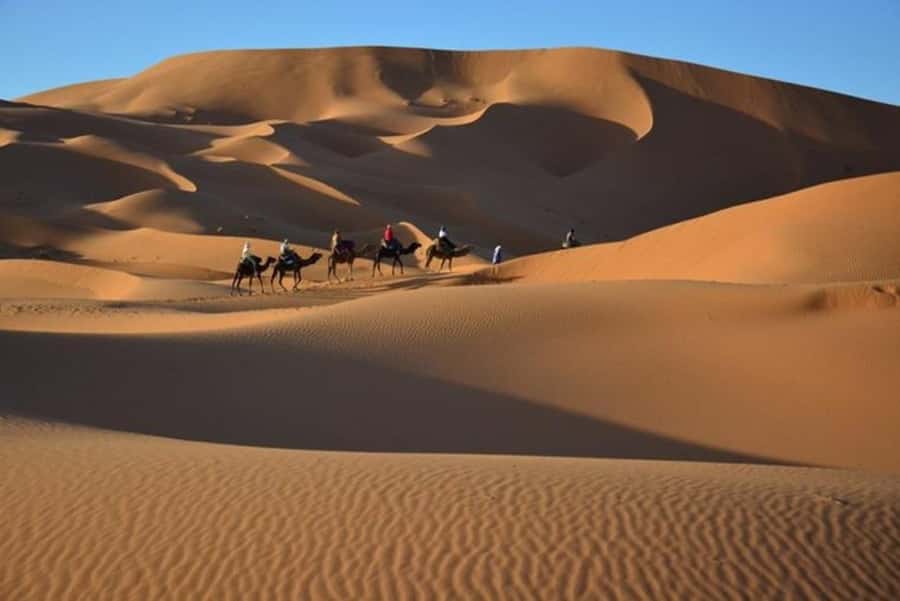 From Fes: 2-Day Luxury Desert Tour to Marrakech & Back Fez - Who should book this desert tour?