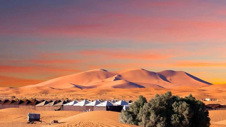 From Fes: 2-Day Merzouga Desert Trip w/Luxury Tent & Dinner - Key points to know before booking